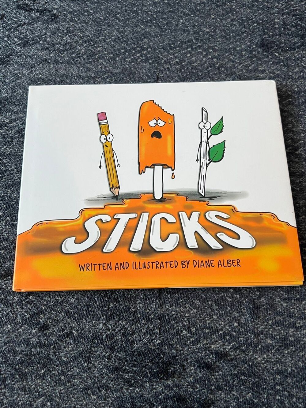 Sticks by Diane Alber - Children's Book Hardback
